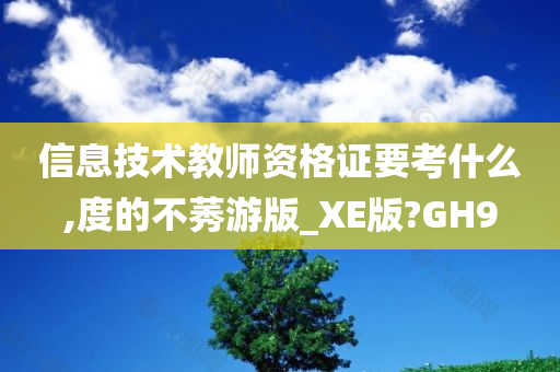 信息技术教师资格证要考什么,度的不莠游版_XE版?GH9