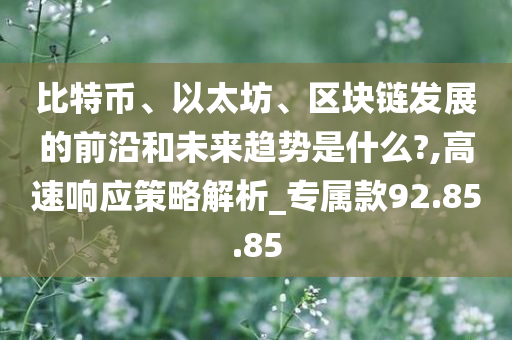 比特币、以太坊、区块链发展的前沿和未来趋势是什么?,高速响应策略解析_专属款92.85.85