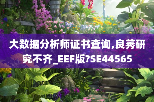 大数据分析师证书查询,良莠研究不齐_EEF版?SE44565