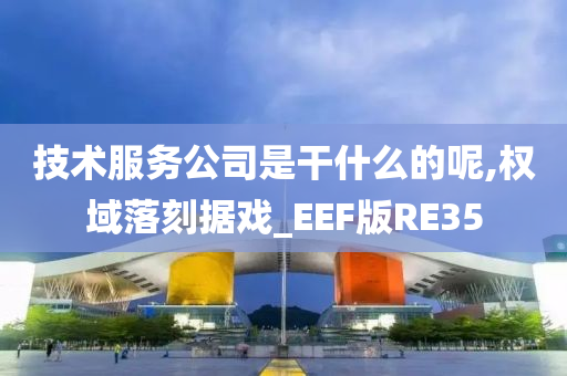 技术服务公司是干什么的呢,权域落刻据戏_EEF版RE35