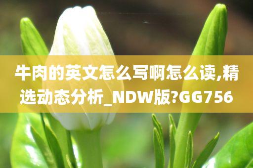 牛肉的英文怎么写啊怎么读,精选动态分析_NDW版?GG756