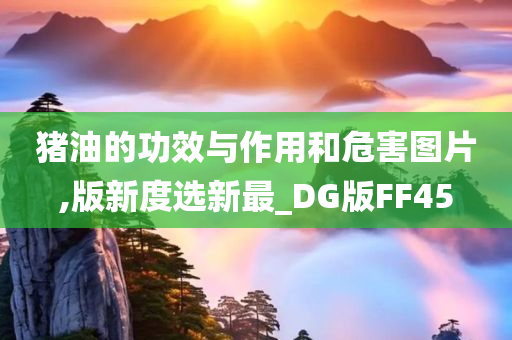 猪油的功效与作用和危害图片,版新度选新最_DG版FF45