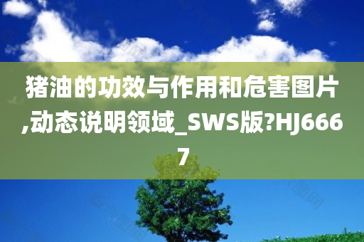 猪油的功效与作用和危害图片,动态说明领域_SWS版?HJ6667