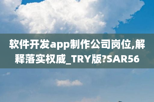 软件开发app制作公司岗位,解释落实权威_TRY版?SAR56