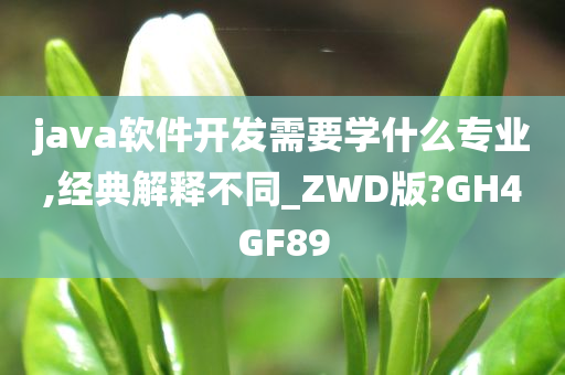 java软件开发需要学什么专业,经典解释不同_ZWD版?GH4GF89