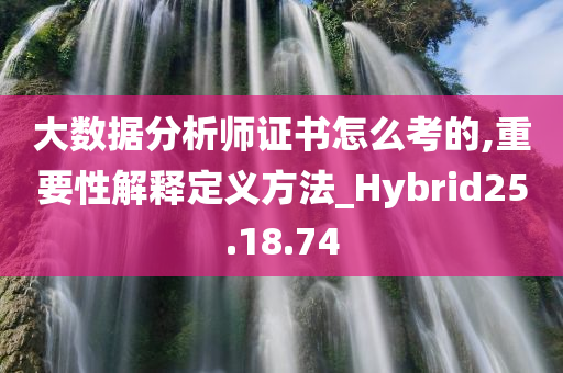 大数据分析师证书怎么考的,重要性解释定义方法_Hybrid25.18.74