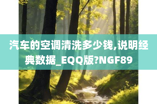 汽车的空调清洗多少钱,说明经典数据_EQQ版?NGF89