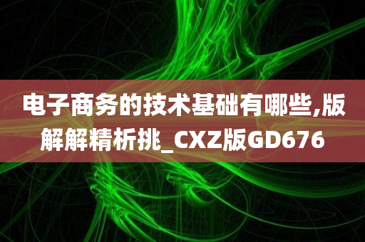 电子商务的技术基础有哪些,版解解精析挑_CXZ版GD676