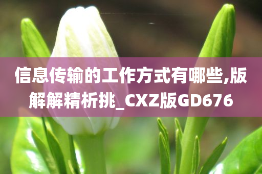 信息传输的工作方式有哪些,版解解精析挑_CXZ版GD676