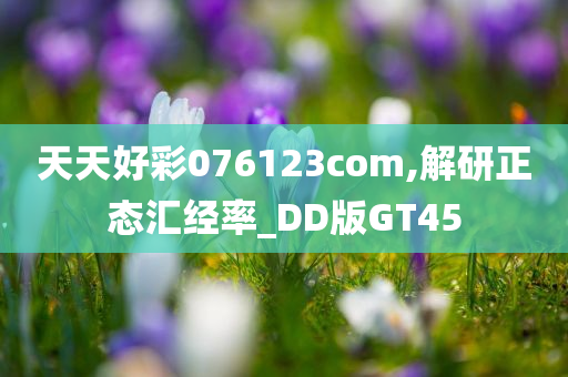 天天好彩076123com,解研正态汇经率_DD版GT45