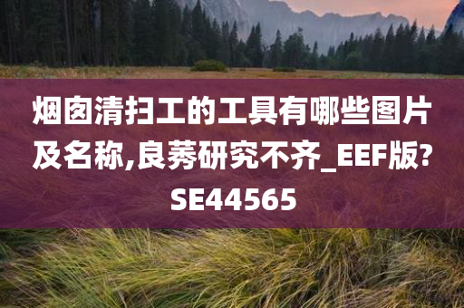 烟囱清扫工的工具有哪些图片及名称,良莠研究不齐_EEF版?SE44565