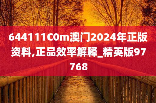 644111C0m澳门2024年正版资料,正品效率解释_精英版97768