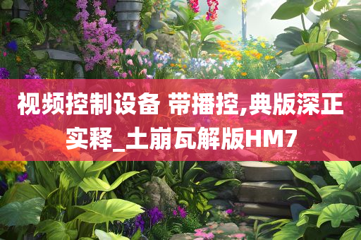 视频控制设备 带播控,典版深正实释_土崩瓦解版HM7