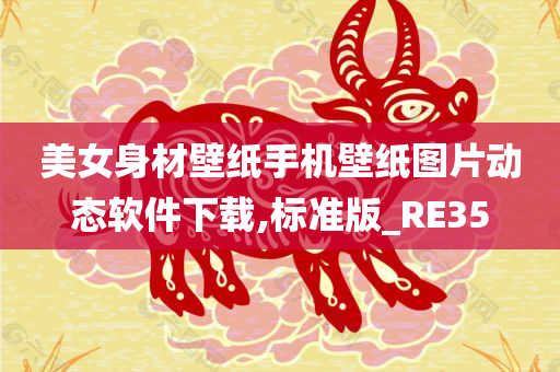 美女身材壁纸手机壁纸图片动态软件下载,标准版_RE35