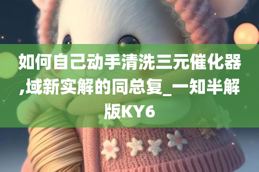 如何自己动手清洗三元催化器,域新实解的同总复_一知半解版KY6