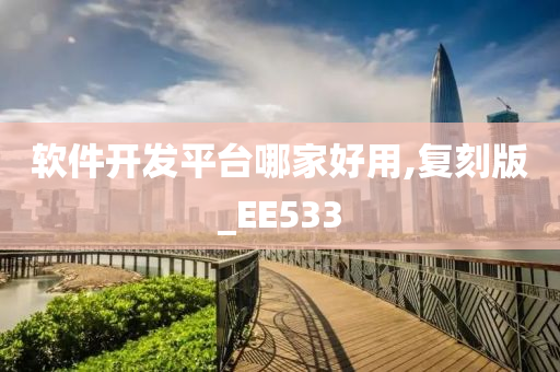 软件开发平台哪家好用,复刻版_EE533