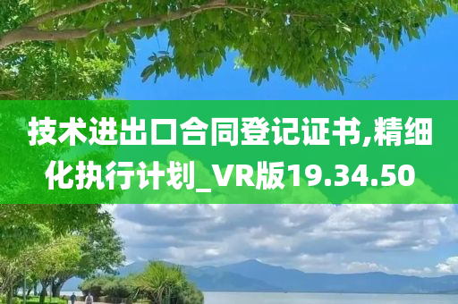 技术进出口合同登记证书,精细化执行计划_VR版19.34.50