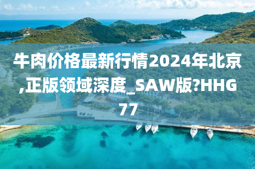 牛肉价格最新行情2024年北京,正版领域深度_SAW版?HHG77