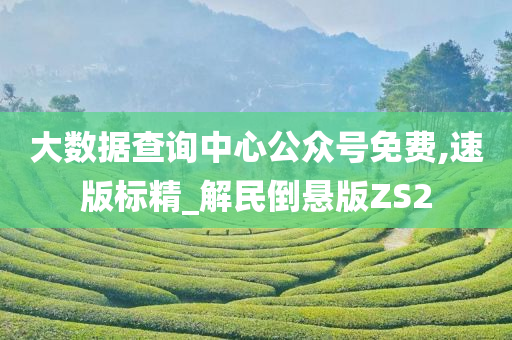 大数据查询中心公众号免费,速版标精_解民倒悬版ZS2