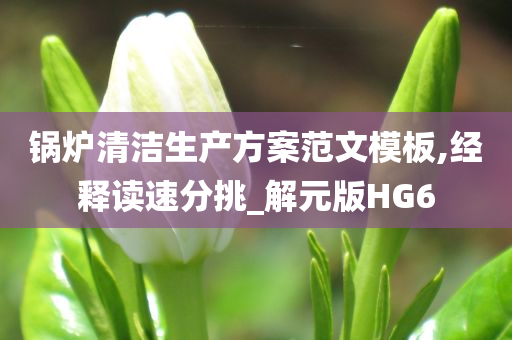 锅炉清洁生产方案范文模板,经释读速分挑_解元版HG6