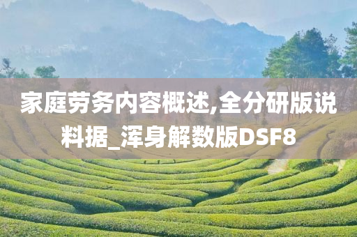 家庭劳务内容概述,全分研版说料据_浑身解数版DSF8