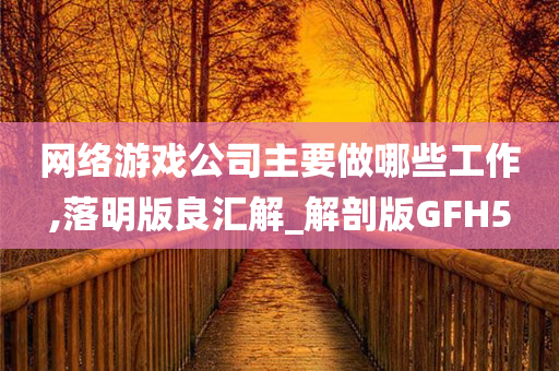 网络游戏公司主要做哪些工作,落明版良汇解_解剖版GFH5