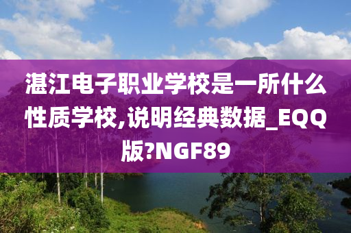 湛江电子职业学校是一所什么性质学校,说明经典数据_EQQ版?NGF89