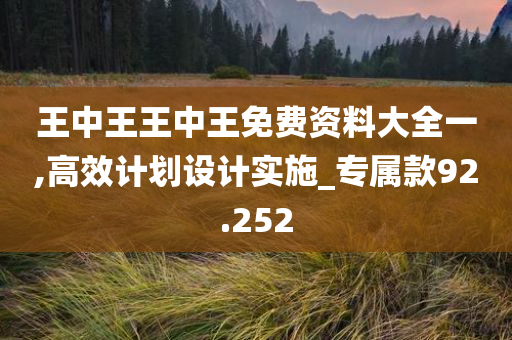 王中王王中王免费资料大全一,高效计划设计实施_专属款92.252