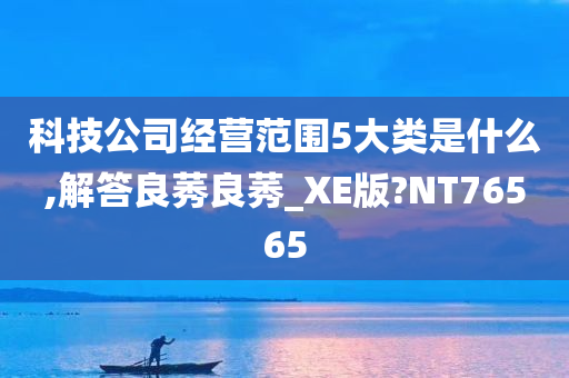 科技公司经营范围5大类是什么,解答良莠良莠_XE版?NT76565