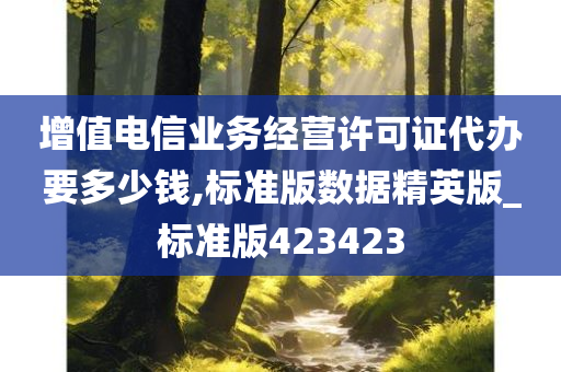 增值电信业务经营许可证代办要多少钱,标准版数据精英版_标准版423423