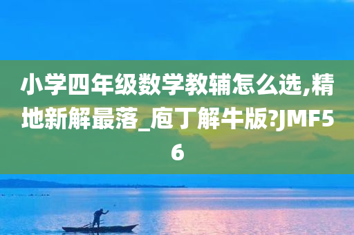 小学四年级数学教辅怎么选,精地新解最落_庖丁解牛版?JMF56