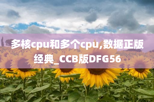 多核cpu和多个cpu,数据正版经典_CCB版DFG56