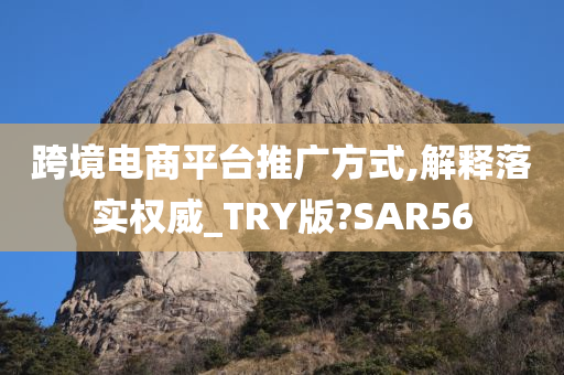 跨境电商平台推广方式,解释落实权威_TRY版?SAR56