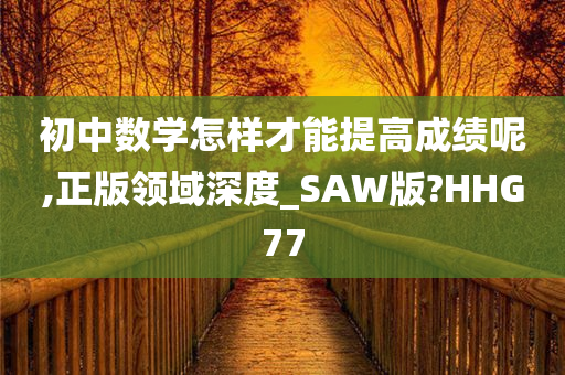 初中数学怎样才能提高成绩呢,正版领域深度_SAW版?HHG77