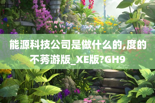 能源科技公司是做什么的,度的不莠游版_XE版?GH9