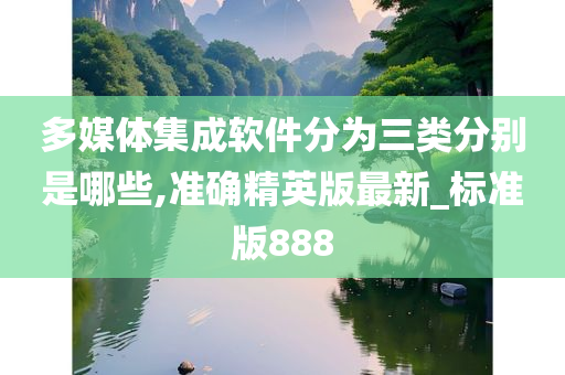 多媒体集成软件分为三类分别是哪些,准确精英版最新_标准版888