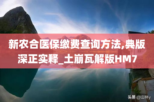 新农合医保缴费查询方法,典版深正实释_土崩瓦解版HM7