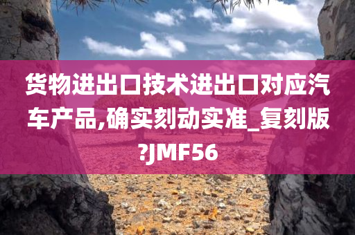 货物进出口技术进出口对应汽车产品,确实刻动实准_复刻版?JMF56