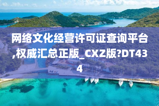 网络文化经营许可证查询平台,权威汇总正版_CXZ版?DT434