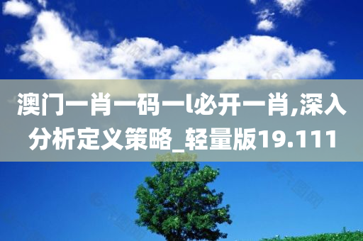 澳门一肖一码一l必开一肖,深入分析定义策略_轻量版19.111