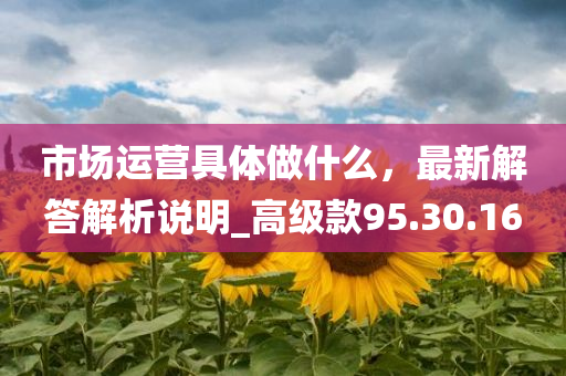 市场运营具体做什么，最新解答解析说明_高级款95.30.16