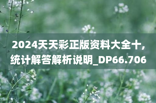 2024天天彩正版资料大全十,统计解答解析说明_DP66.706