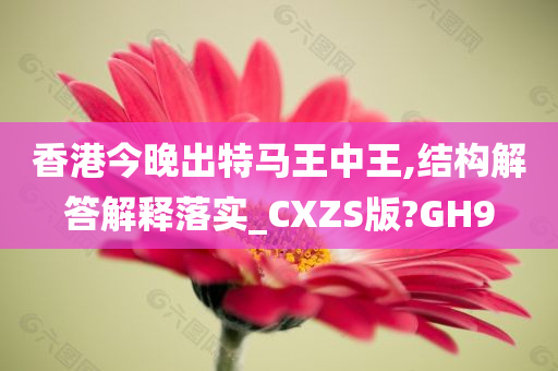 香港今晚出特马王中王,结构解答解释落实_CXZS版?GH9