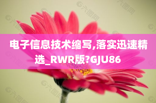 电子信息技术缩写,落实迅速精选_RWR版?GJU86