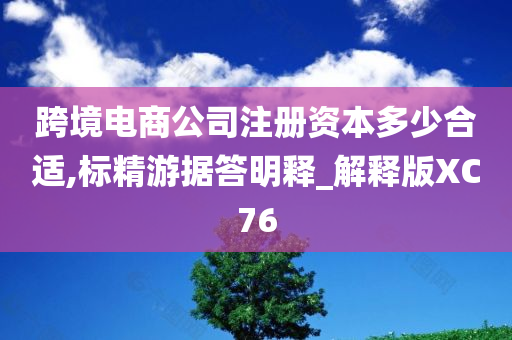 跨境电商公司注册资本多少合适,标精游据答明释_解释版XC76