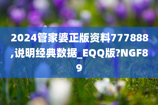 2024管家婆正版资料777888,说明经典数据_EQQ版?NGF89