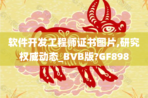 软件开发工程师证书图片,研究权威动态_BVB版?GF898