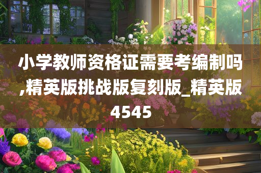 小学教师资格证需要考编制吗,精英版挑战版复刻版_精英版4545