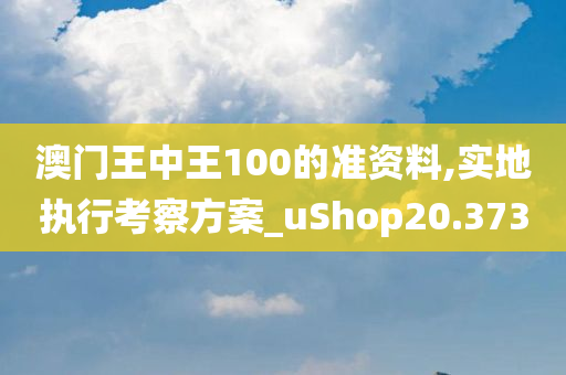 澳门王中王100的准资料,实地执行考察方案_uShop20.373