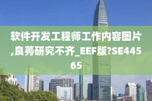 软件开发工程师工作内容图片,良莠研究不齐_EEF版?SE44565